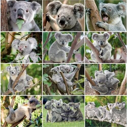 EverShine 5D DIY Diamond Painting Animal Bead Embroidery Diamond Mosaic Full Square Koala Cross Stitch Needlework Decor For Home