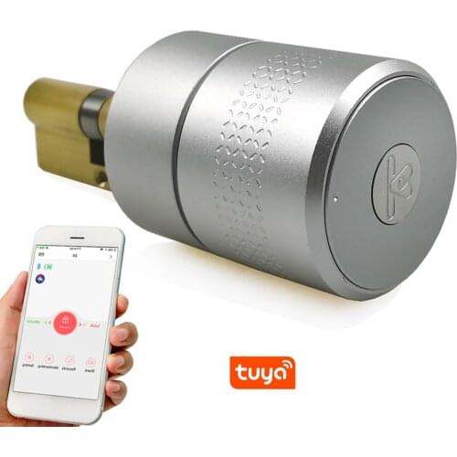M530 Secure Interior Smart Fingerprint Lock No Cylinder Intelligent Tuya for Woden Door