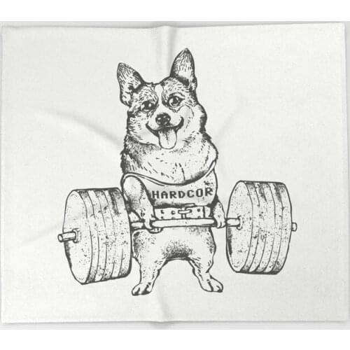 Dog Corgi Cartoon Throw Blanket Cute Kids Design Corgi Lift Blankets for Beds Christmas Decorations for Home