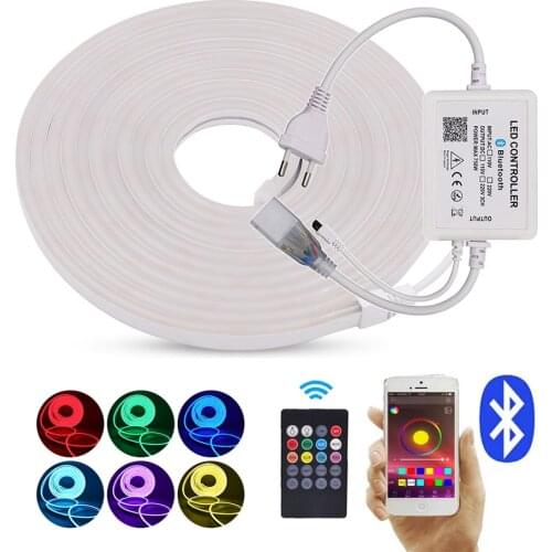 EU 220V RGB LED Strip Flex Neon Rope Light 2835 5050 120Leds/m Neon Ribbon Waterproof Outdoor Lighting WIFI Bluetooth Neon Sign