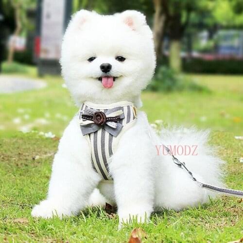 S-L Vertical Stripes Chest Harness for Small Puppy Flower Tie Bow Harnesses Vests with Rope Breathable Grid Pets Dogs Clothes