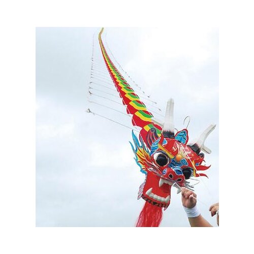 Free shipping high quality 20m big kite chinese traditional dragon kite line fly ferramenta ladybug kevlar kiteboard 3d kite owl