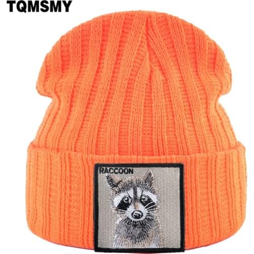 Embroidered Raccoon patch hats for men Knitted wool Beanies Women Winter keep Warm SKullies Beanie Outdoor Ski caps Hip Hop cap