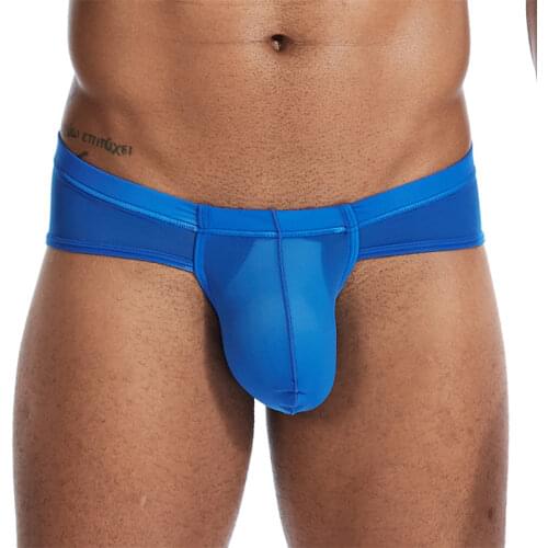 2020 New Underwear Men Cueca Briefs Mens Mesh Transparent Sexy Panties Male Solid Man Underpants Brand Thin Gay Lingerie Knicker