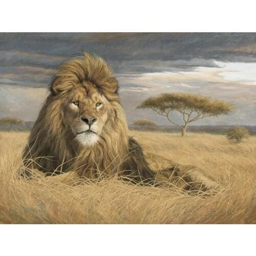 Wall art oil painting landscapes wild Africa King Of The Pride Lion portrait artwork large canvas for office decor Hand painted