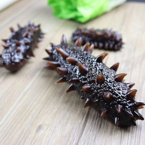 Artificial PVC Sea Cucumber Decoration Fake Trepang Animal Fish Toy Home Kitchen Shop Restaurant Show Education Toy DIY