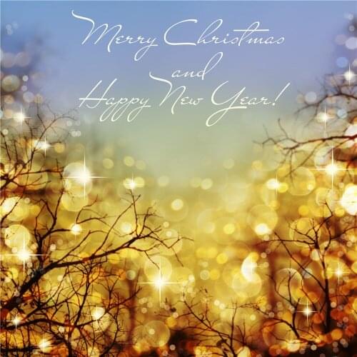 VinylBDS Custom Made Christmas Digital Printing Backdrop Christmas Fantasy Deadwood Light Spot Photo Background Vintage