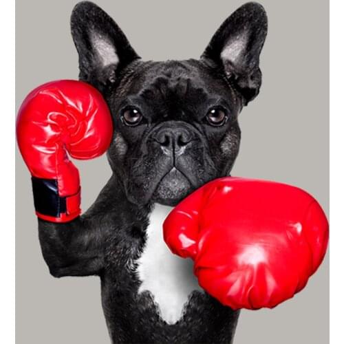 Dog Boxing Patch Vinyl Fashion Diy Appliqued Heat Transfer Tops Patch Iron On Sports Dog Transfers Boy Gift