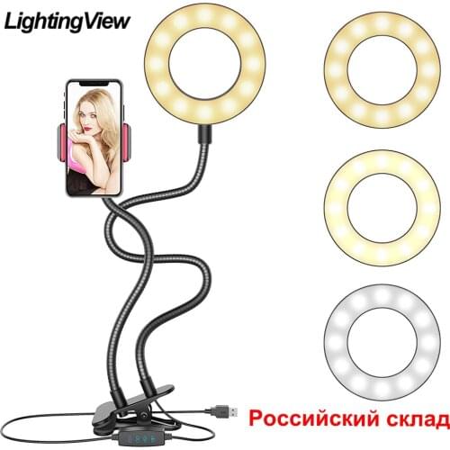 LIGHTINGVIEW Desk Lamp