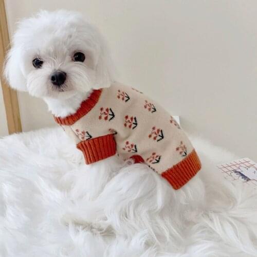 Warm Dog Clothes Knitted Cat Sweater Winter Dog Hoodie Sweatshirt Sweaters Coat Knitwear Costume Pet Clothing For Small Dogs XS