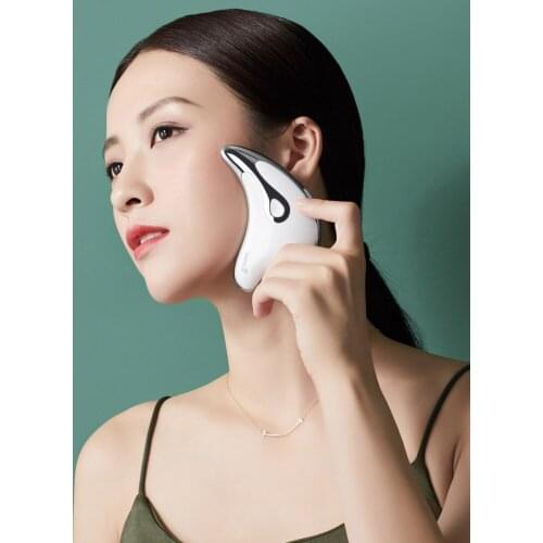 Carevas Facial Massagers
