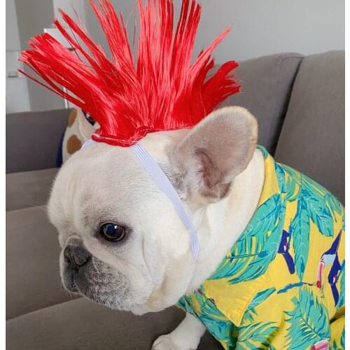 Dog Wig Colorful Dog Accessories Pet Wig 10 Designs Currently Available