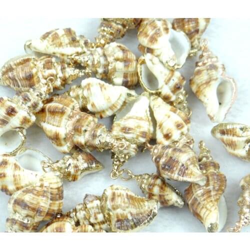 New Fashion Conch Shell Sea SHELL Gem PENDANT Beads Making jewelry 6pcs P369