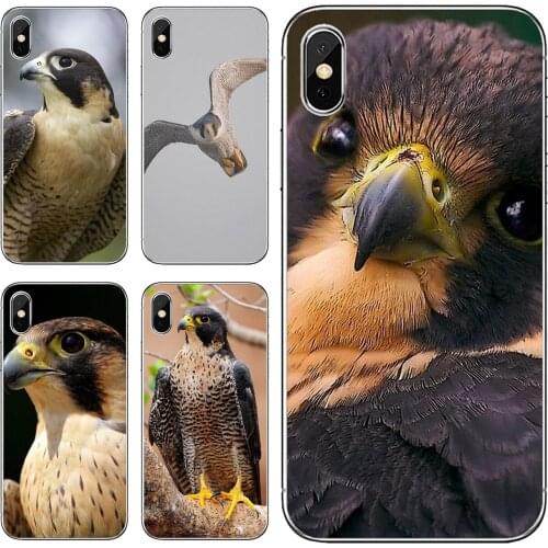 Peregrine-Falcon-fastest-animal-Birds Housing For Huawei Honor 6 6A 7 7X 7A 7C 8 8C 8X 9 9X 10 10i 20 Lite Play Pro