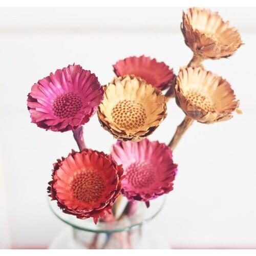 Natural Dried Flower Solar Flowers Gerbera Bouquet Wedding Decoration Photography Photo Decorative Party Backdrop Fashion Decor