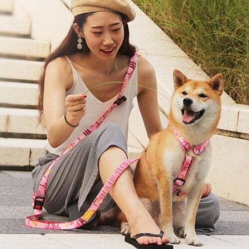 Hands Free Leashes Small-large Dog Leash Crossbody Dog Leash Strong Buffer Rope 2.5m Length Dog Leads Dog Accessories