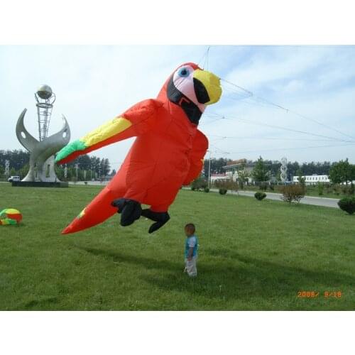 Fishing rainbow parrot papagaio voador pipas de voar large inflatable animals rainbow sport weather vane soft kite control bar