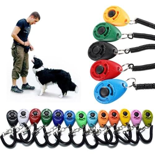 Adhere To Fly Dog Training Collars And Dog Repellents