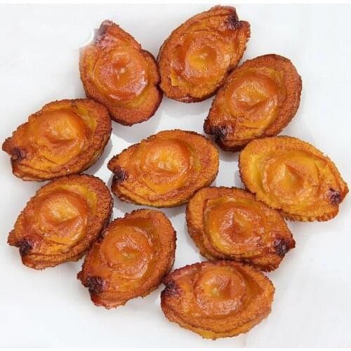 050 Fake abalone PVC simulation abalone model hotel food sample cabinet display 5.7*4CM