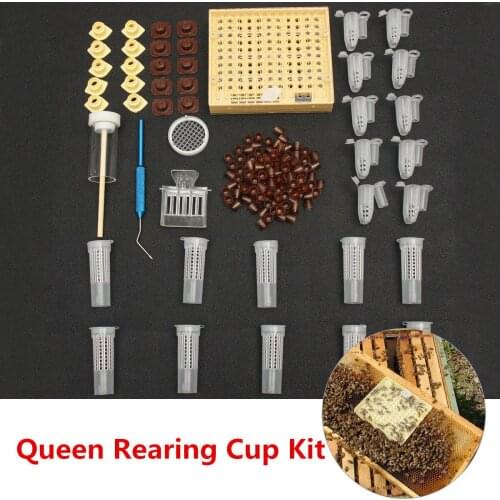 155pcs 1 set Queen Rearing System Cultivating Box Bee Catcher Cage Beekeeping Tool