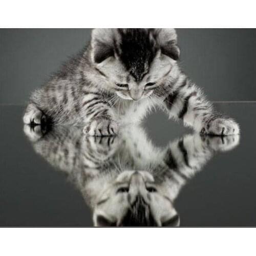 Hot diamond mosaic animal cute cat 5d diy embroidery diamond painting full square/round drill kitten pictures home decor