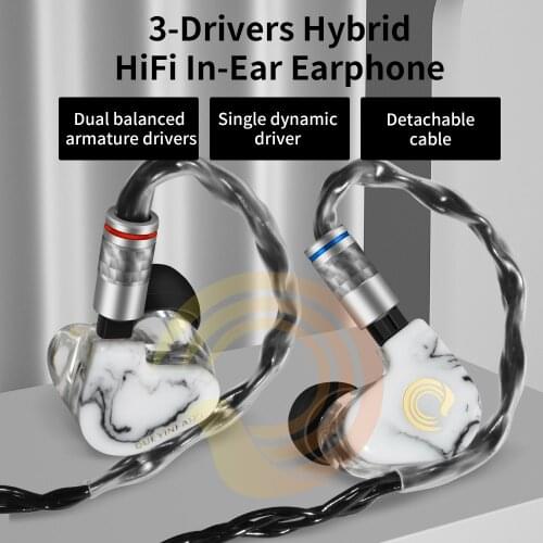 QUEYINFANG 2BA 1DD Hybrid In Ear Earphone Resin HIFI Sport Earphone 3 Drive Earplug Headset MMCX/0.78mm2Pin Connector Detachable