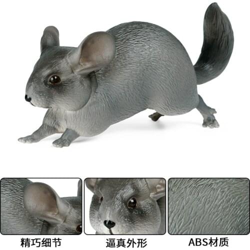Chinchilla Mouse Wild Animal Cognition Action Figures Kids Plastic Model Toys Animal Figure Collectible Toys