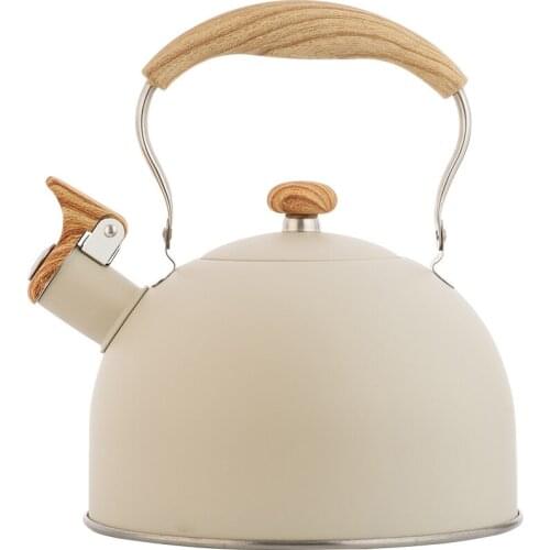 Household whistle kettle off white 2.5L flat bottom whistle kettle European stainless steel whistle kettle spray color whistle