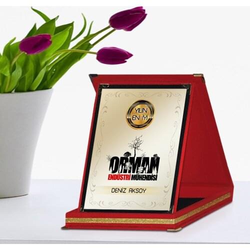 Personalized Best Forest Industrial Engineer Red Plaque Award Of The Year