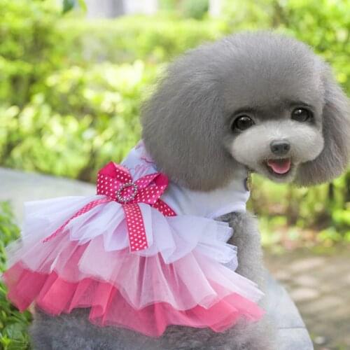 Pet Cat Clothes for Small Dogs Dresses Sweety Princess Dress Spring Summer Skirt Chihuahua Pug Yorkie Clothing Puppy Cat Supplie