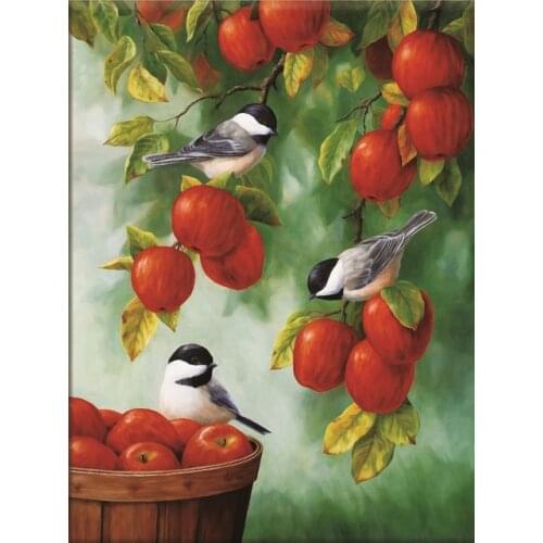 Cross Stitch Bird Animal Needlework Sets For Full Embroidery Fruit Scenery Kits White Canvas 14CT DIY Home Decor 40x50cm