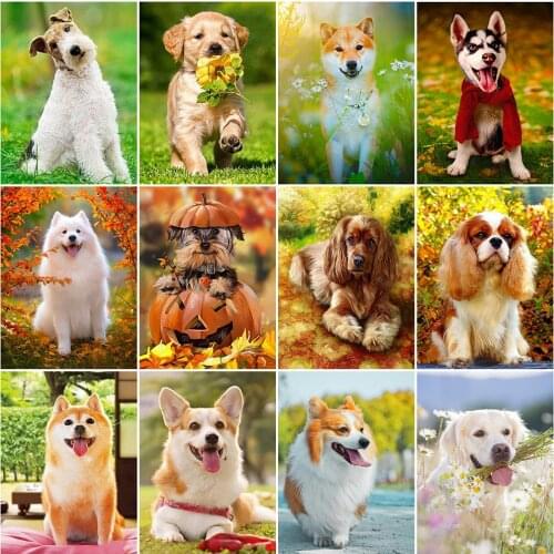 HUACAN Full Drill Square Diamond Painting Dog Rhinestone Kit Diamond Embroidery Animal Mosaic Cross Stitch Decor For Home