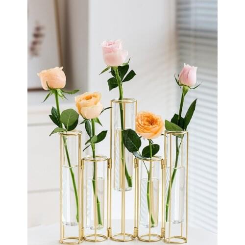 INS Transparent Glass Vase Living Room Flower Arrangement Creative Decoration Rose Water Flower Holder Terrarium Glass Container