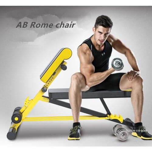 B101All-in-one AB Roman Chair Fitness Equipment Dumbbell Bench For Gym Home Adjustable Fitness Multi-Workout Abdominal Bench