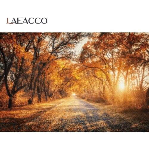 Laeacco Photo Backdrops Autumn Forest Countryside Road Sunset Beautiful Scenic Photography Backgrounds Photocall Photo Studio