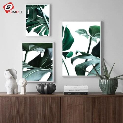 Nordic Canvas Painting Botanical Prints Blush Plant Monstera Leaf Art Poster Green Art Wall Pictures Living Room Poster No Frame