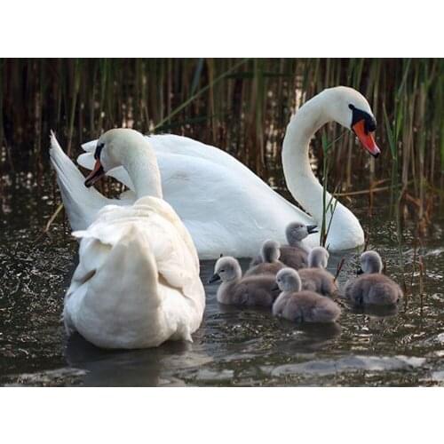 New Needlework Diamond Painting Beautiful Snow Winter Landscape Diamond Embroidery All Square Drill Rhinestone Mosaic Picture