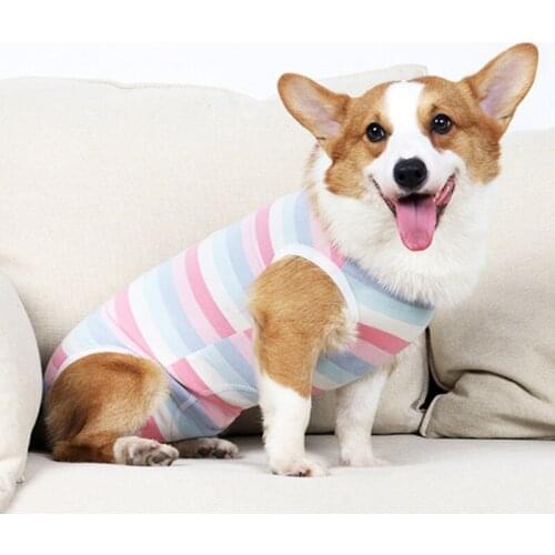 Dogs Maintain Clothes Operation Recovery Suit Anti Licking Wounds After Surgery Surgery Suit Four-legged Jumpsuit Pet Products