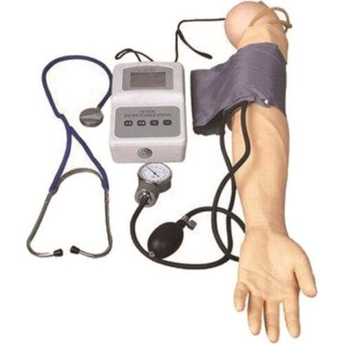 Advanced Blood Pressure Measurement Training Arm Simulator