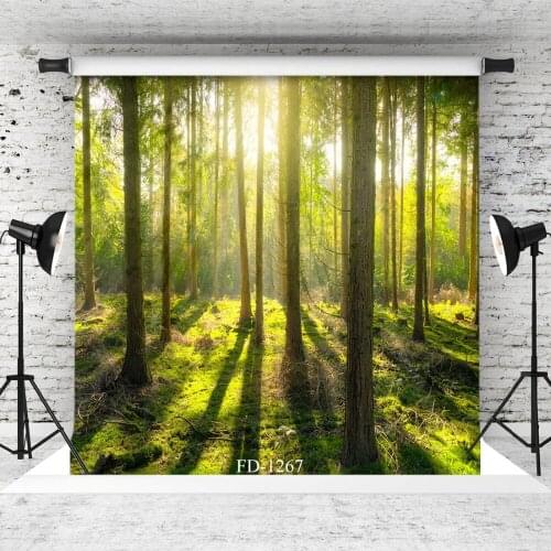 Sunlight Forest Photographic Background For Photo Shoot Children Kids Baby Vinyl Cloth Printed Photo Backdrop Photo Studio