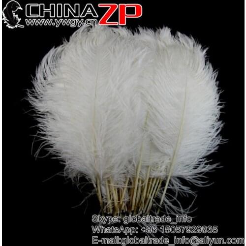 CHINAZP Feathers Samba showing 30-35cm(12-14inch) 200pcs/lot Fluffy White Ostrich Belly Feather for Sale Wholesale