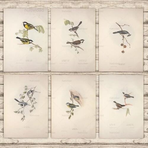 Vintage Canvas Painting Europe Birds Lesser Grey Shrike Woodchat Golden Oriole Wall Art Pictures Living Room Home Decor Gifts