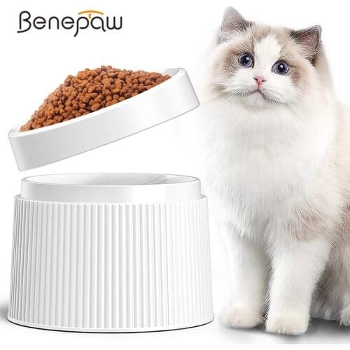 Benepaw Quality 2 In 1 Elevated Cat Bowl Detachable Environmentally-friendly Tilted Food Kitten Pet Feeder Non Slip Mat Stand