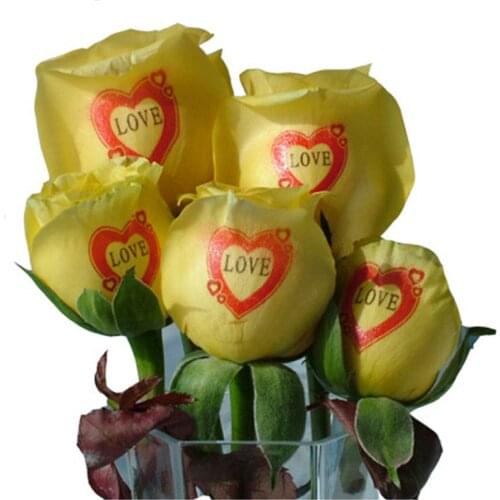 Nail printing machine and flower printing machine digital nail and flower printer