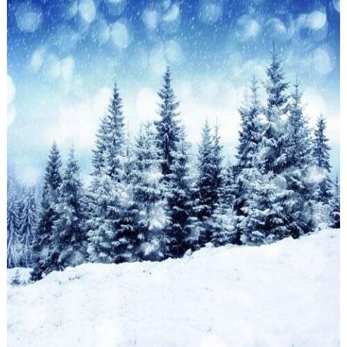 VinylBDS 200X300CM Winter Beautiful Photography Backdrop Snow Trees Backgrounds For Photo Studio