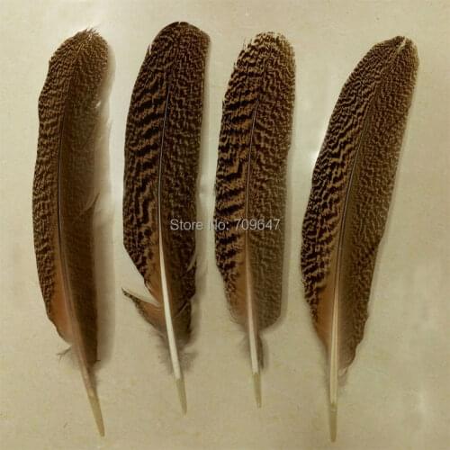 20Pcs/lot!30-35cm Peacock Wing Quills, Large Mottled Peacock Feathers,Peacock Wing Feathers,peacock feathers