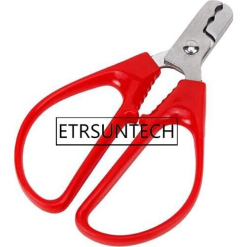 100pcs Stainless Steel Nut Shell Opener Cracker Seed Pistachio Sheller Opener Peeling Pliers Home Kitchen Tool