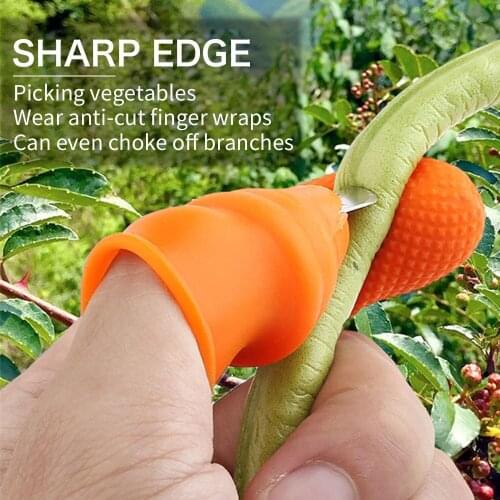 Farm Vegetable Fruit Picker Pickle Pepper Pickle Tip Picker Iron Nail Pick Grape Picker For Garden Orchard And Vegetable Patch