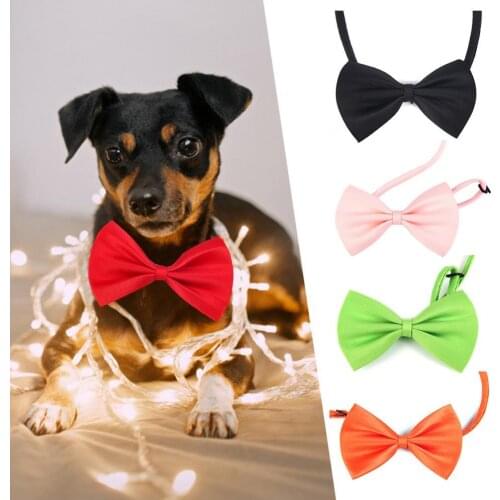 2Pcs Solid Color Bowknot Collar Adjustable Necklace Cat Neck Strap Pet Birthday Dress Up Supply