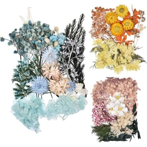 Real Dried Pressed Flowers Leaves DIY Candle Decoration Resin Jewelry Crafts Making Preserved Flower Decoration Home New